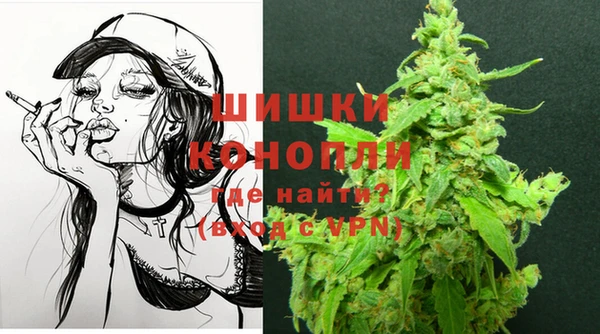 прущие грибы Беломорск