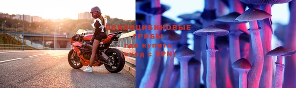 прущие грибы Беломорск