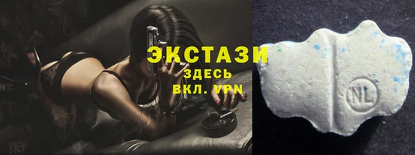 мдпв Магас