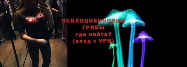 мдпв Магас