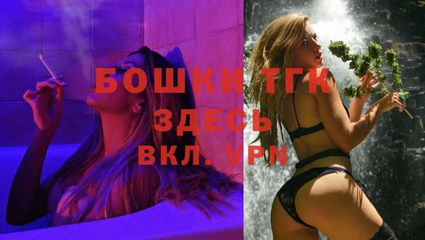 прущие грибы Беломорск