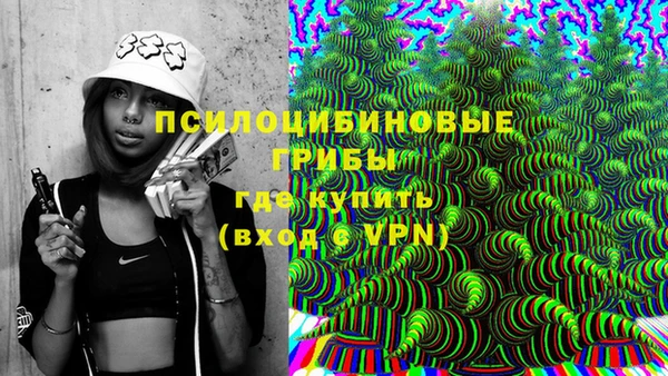 прущие грибы Беломорск