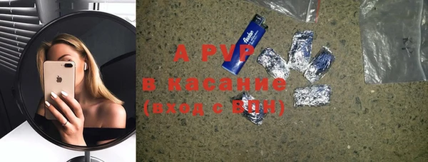 прущие грибы Беломорск