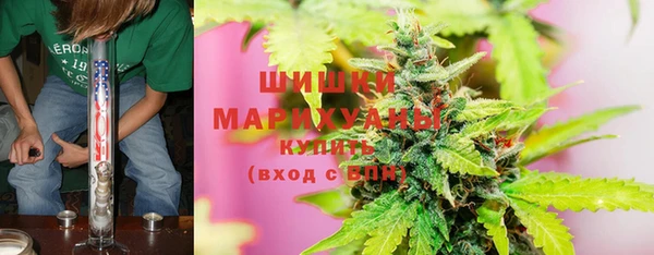 марки lsd Белокуриха