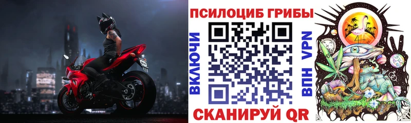 кракен зеркало Щучье Псилоцибиновые грибы Cubensis что такое